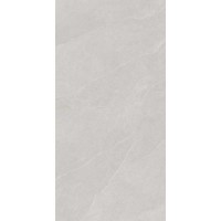 ARTDESIA GREIGE 60x120 2316