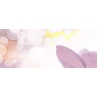 SET DECOR VIOLA ORCHID LILA 60x100 2493 SET DECOR VIOLA ORCHID LILA 60x100 2493