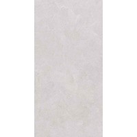 STONELINE LIGHT GREY 60x120 9917 STONELINE LIGHT GREY 60x120 9917