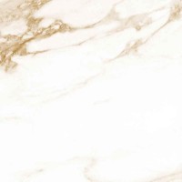 PARIS BEIGE 61x61 PARIS BEIGE 61x61