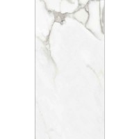 VENATO NATURAL SILK SL 60x120 VENATO NATURAL SILK SL 60x120