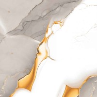 ARCTIC GOLD GREY SQ 60.8x60.8 NEW ARCTIC GOLD GREY SQ 60.8x60.8 NEW