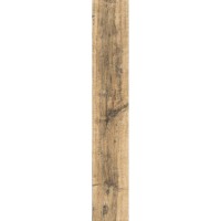 FOREST POPLAR DJ 15x90 FOREST POPLAR DJ 15x90