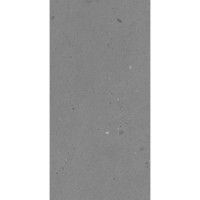 SAVONA MINERAL MATT 60x120 SAVONA MINERAL MATT 60x120