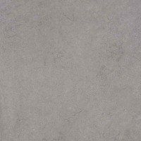 EVERSCAPE 20MM FOSSIL GREY RT 60x60 6031