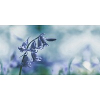 DECOR 79 BLUE HL1 30x60 DECOR 79 BLUE HL1 30x60