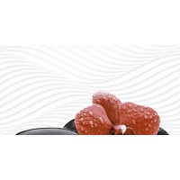 PASSION DUNE STONE DECORE A 30x60 PASSION DUNE STONE DECORE A 30x60