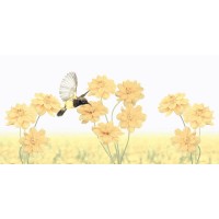 SUMMER STRIPES DECORE 30x60 SUMMER STRIPES DECORE 30x60