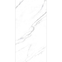 STATUARIO GREY GLOSSY 60x120 STATUARIO GREY GLOSSY 60x120