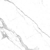 STATUARIO PREMIER POLISHED 60x60